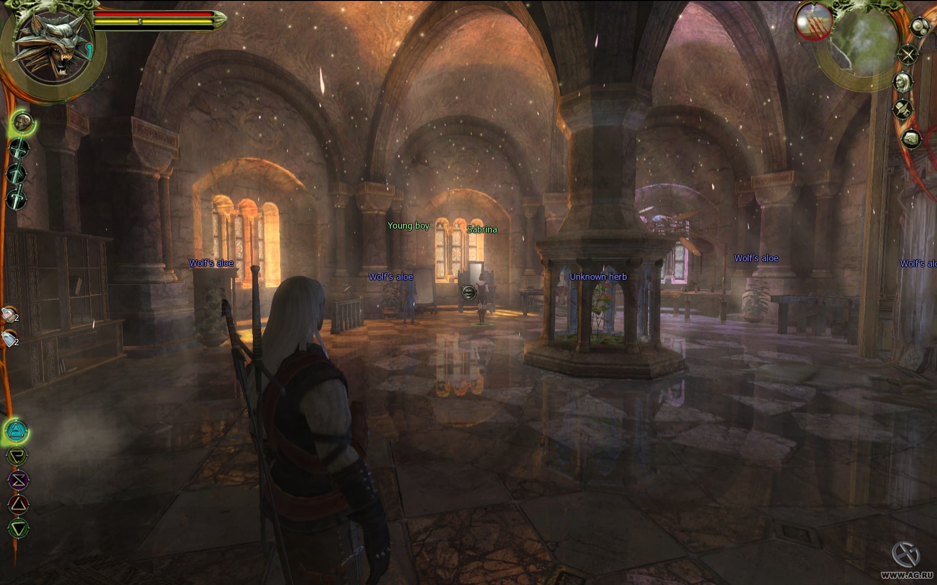 The Witcher: Enhanced Edition Director's Cut